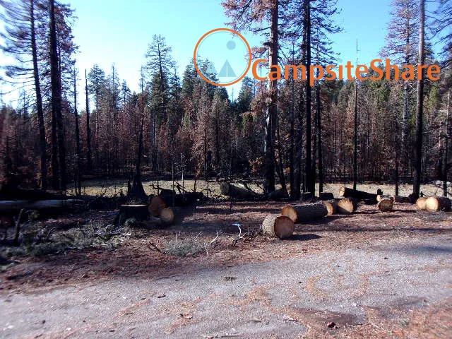 Three Prong Campground Picture 3