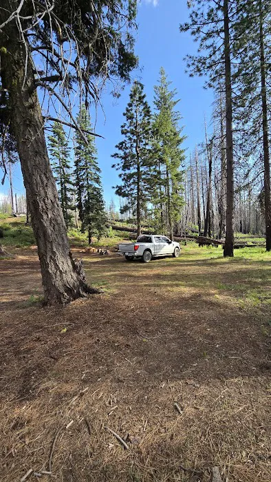 Three Prong Campground Picture 7