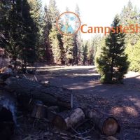 Big Stump ico
