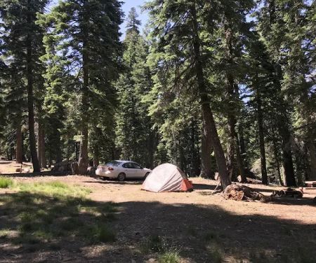 Masterson Group Campground