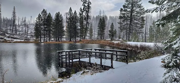 Plaskett Meadows Campground Picture 3