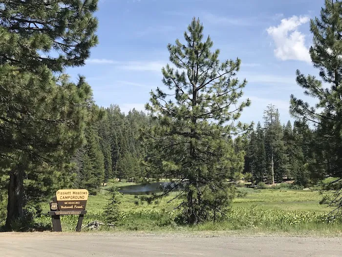 Plaskett Meadows Campground Picture 4