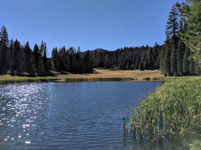 Plaskett Meadows Campground Picture 7