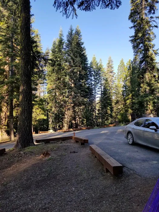 Plaskett Meadows Campground Picture 10