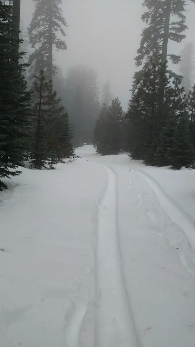 Telephone Campground Picture 2