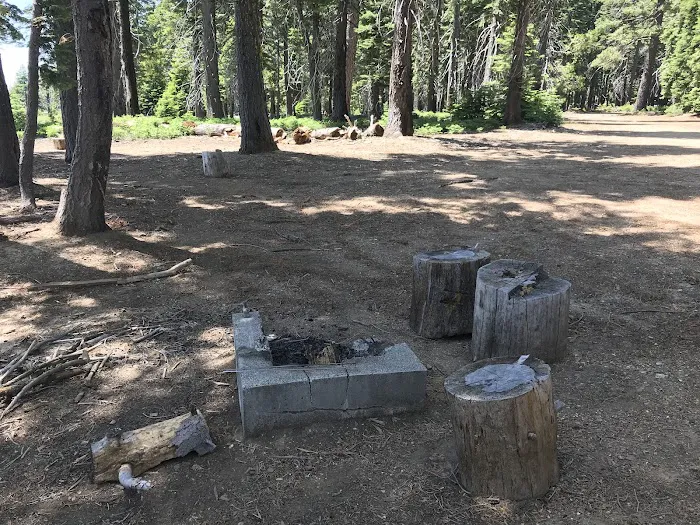 Board Tree Campground Picture 5