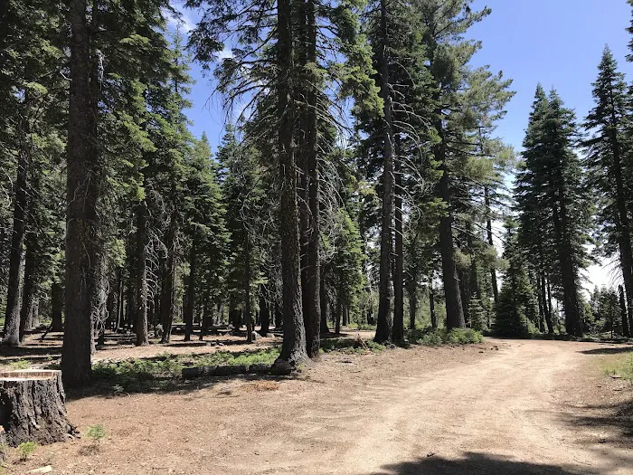 Board Tree Campground Picture 1