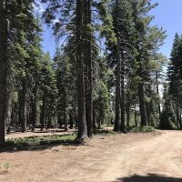Board Tree Campground ico