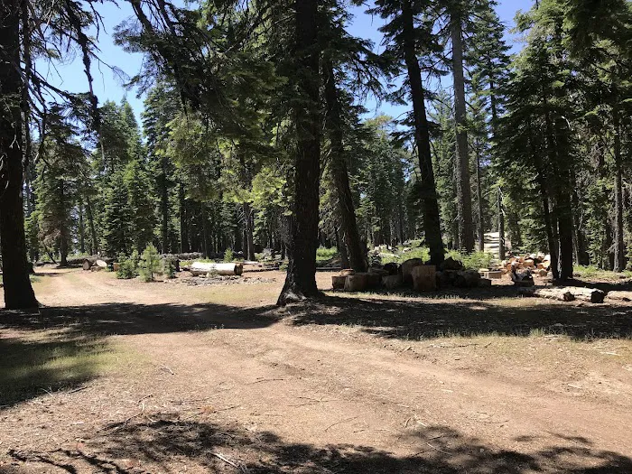 Board Tree Campground Picture 2