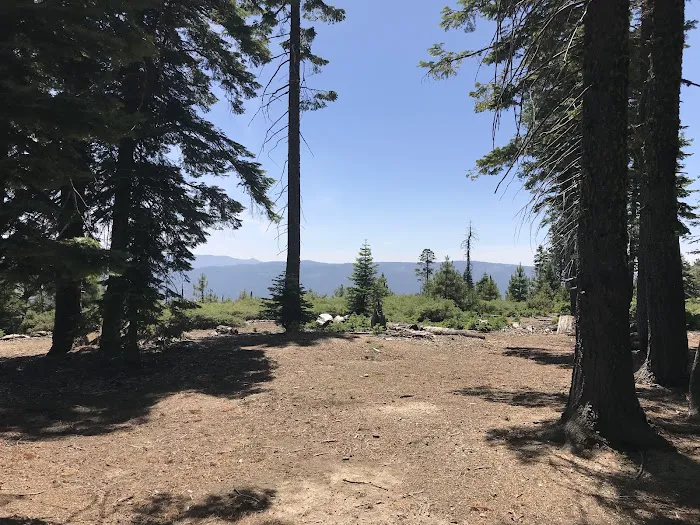 Board Tree Campground Picture 4