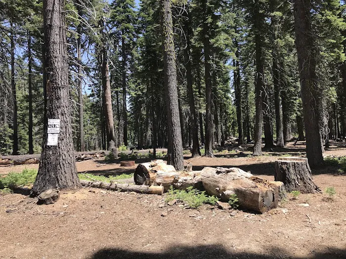 Board Tree Campground Picture 6