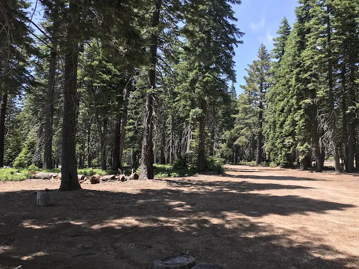Board Tree Campground Picture 9