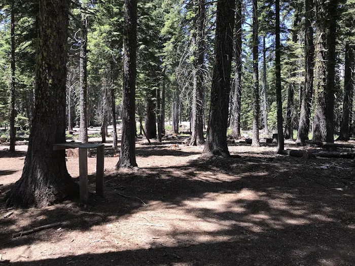 Board Tree Campground Picture 8