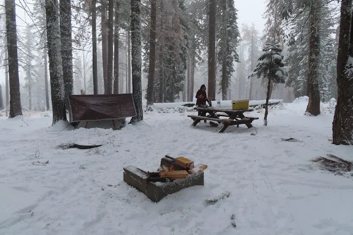 Board Tree Campground Picture 7