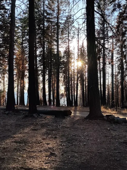 Board Tree Campground Picture 10