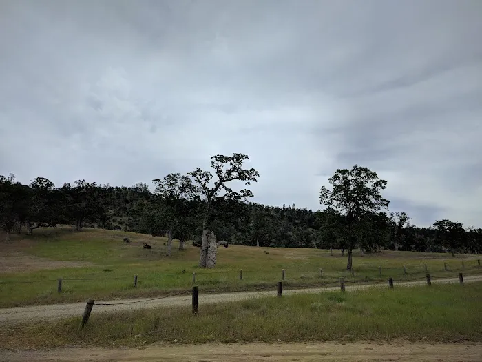 Palomino Campsite Picture 4
