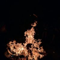 GRAY PINE GROUP CAMPGROUND ico