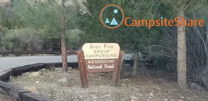 GRAY PINE GROUP CAMPGROUND Picture 7