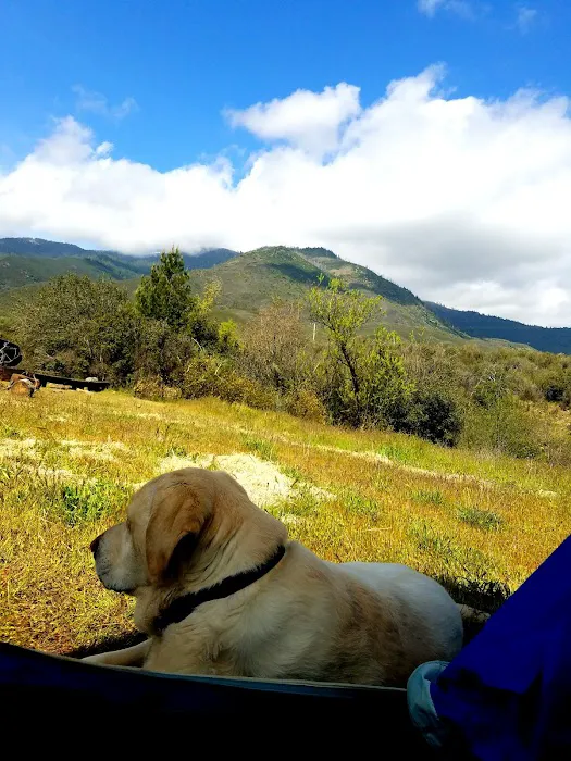 Mill Creek Campground Picture 8