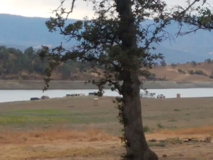 Coyote Cove Picture 5