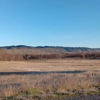 Coyote Cove ico