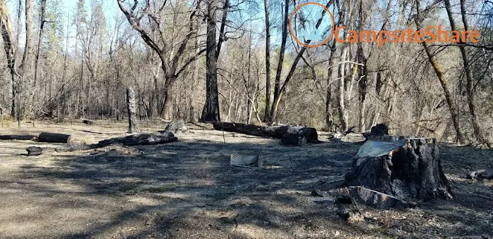 Lower Nye Campground Picture 2