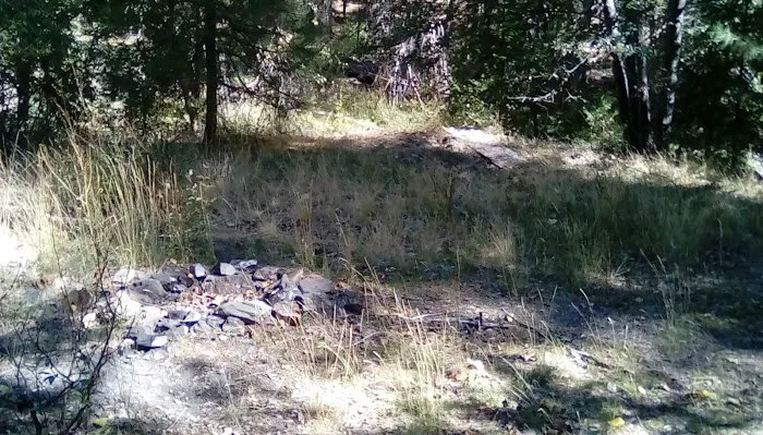 Thomes Pocket Camping Area Picture 9