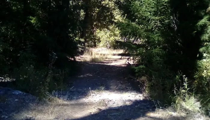 Thomes Pocket Camping Area Picture 1