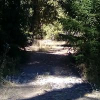 Thomes Pocket Camping Area ico