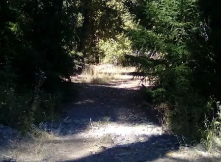 Thomes Pocket Camping Area