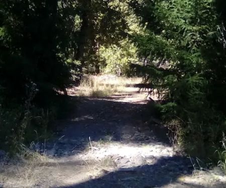 Thomes Pocket Camping Area