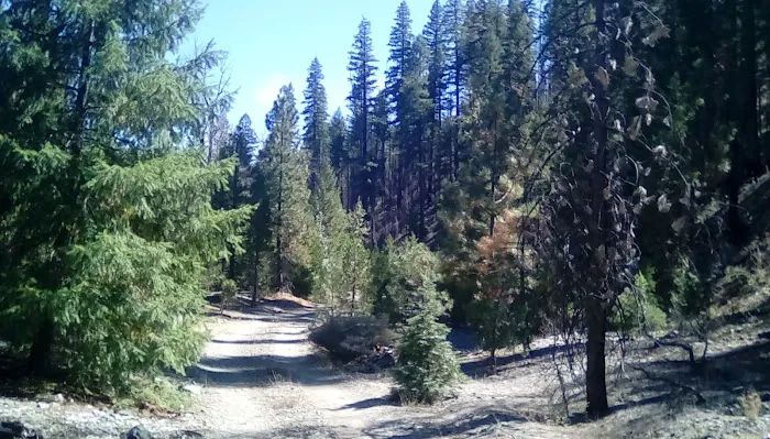 Thomes Pocket Camping Area Picture 8