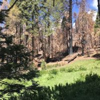 Green Springs Campground ico