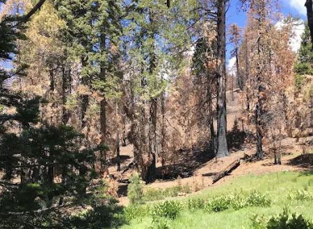 Green Springs Campground