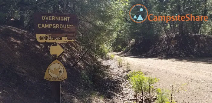Hammerhorn Campground Picture 2