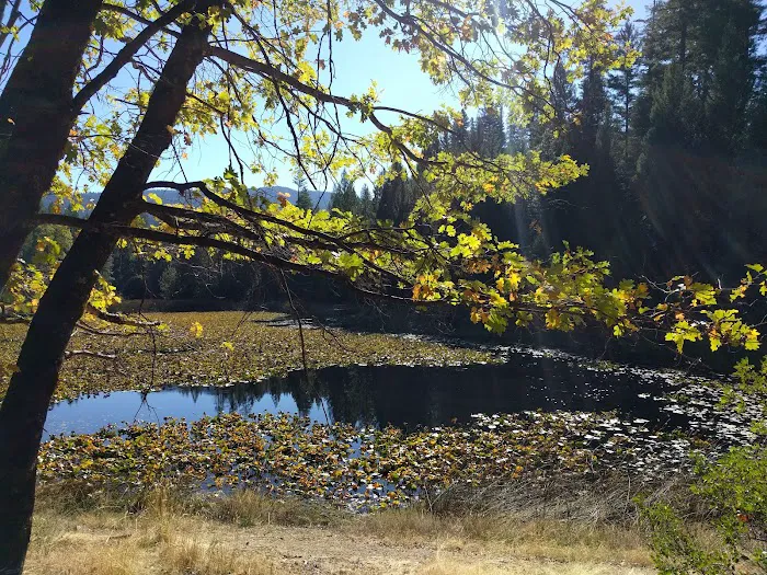 Hammerhorn Campground Picture 9