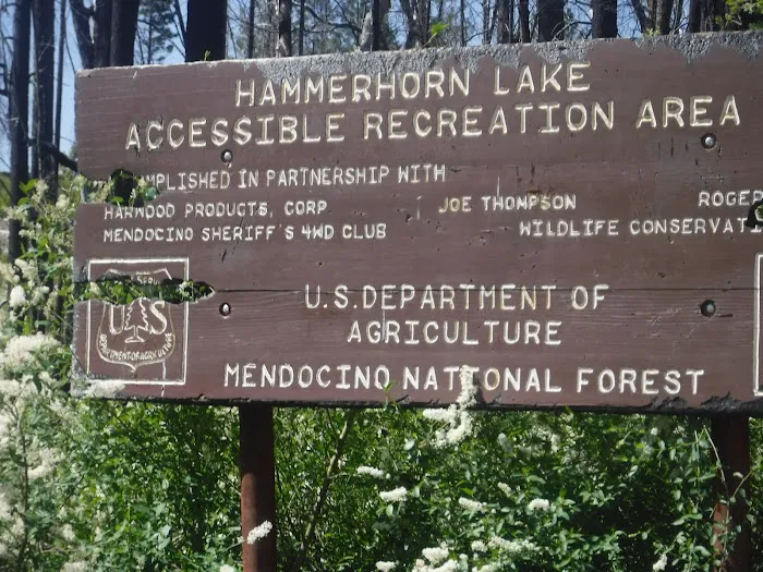 Hammerhorn Campground Picture 6