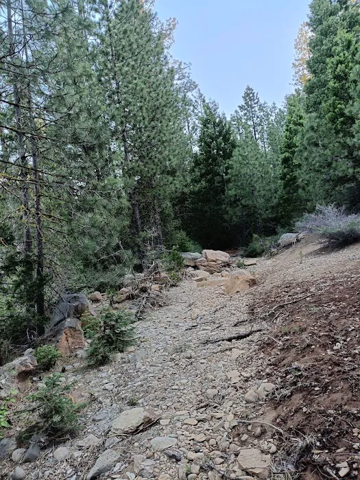 Camp 4 Group Campground Picture 3