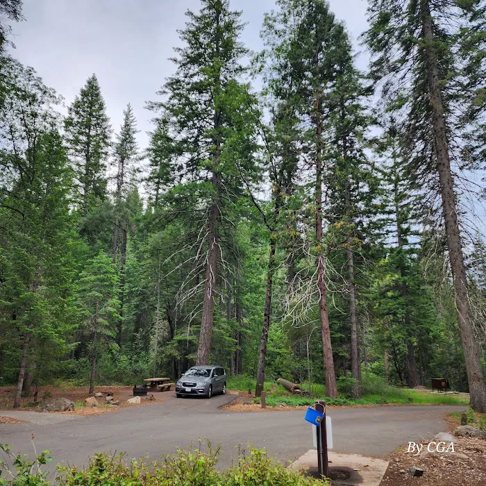 Fowlers Campground Picture 3