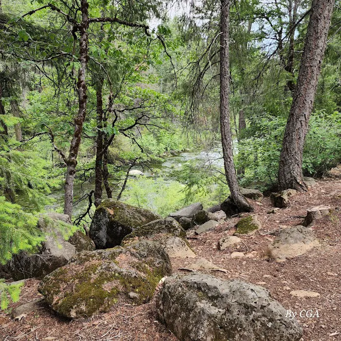 Fowlers Campground Picture 5