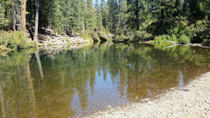 Cattle Camp Campground Picture 2