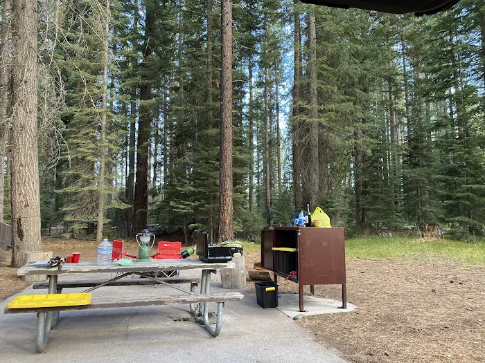 Cattle Camp Campground Picture 7