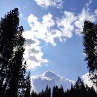 Algoma Campground ico