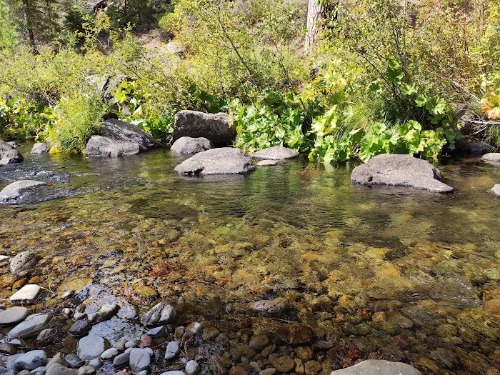 Algoma Campground Picture 2