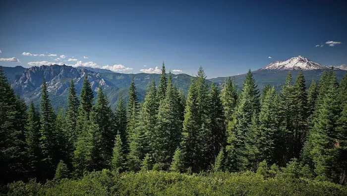Girard Ridge Lookout Picture 6
