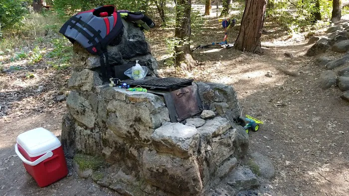 Castle Crags State Park Campground Picture 9