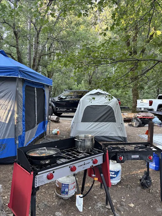 Castle Crags State Park Campground Picture 3