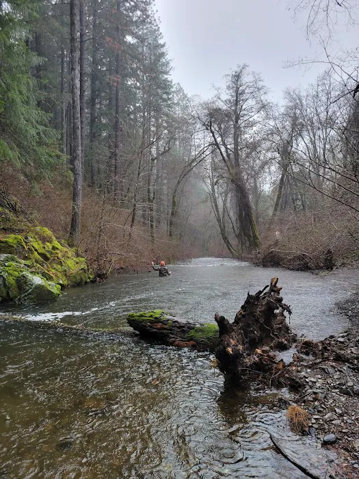 Sims Flat Campground Picture 9