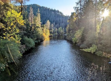 Sims Flat Campground