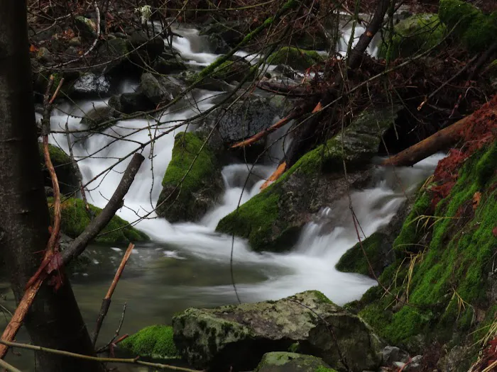 Faery Falls trail head Picture 8
